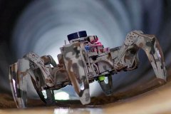 <b>取几名同样对电气机械布局有稠密乐趣的同窗构</b>