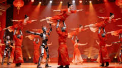 参演产物为G1/H1人形机